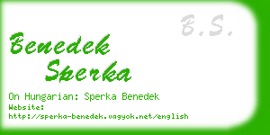 benedek sperka business card
